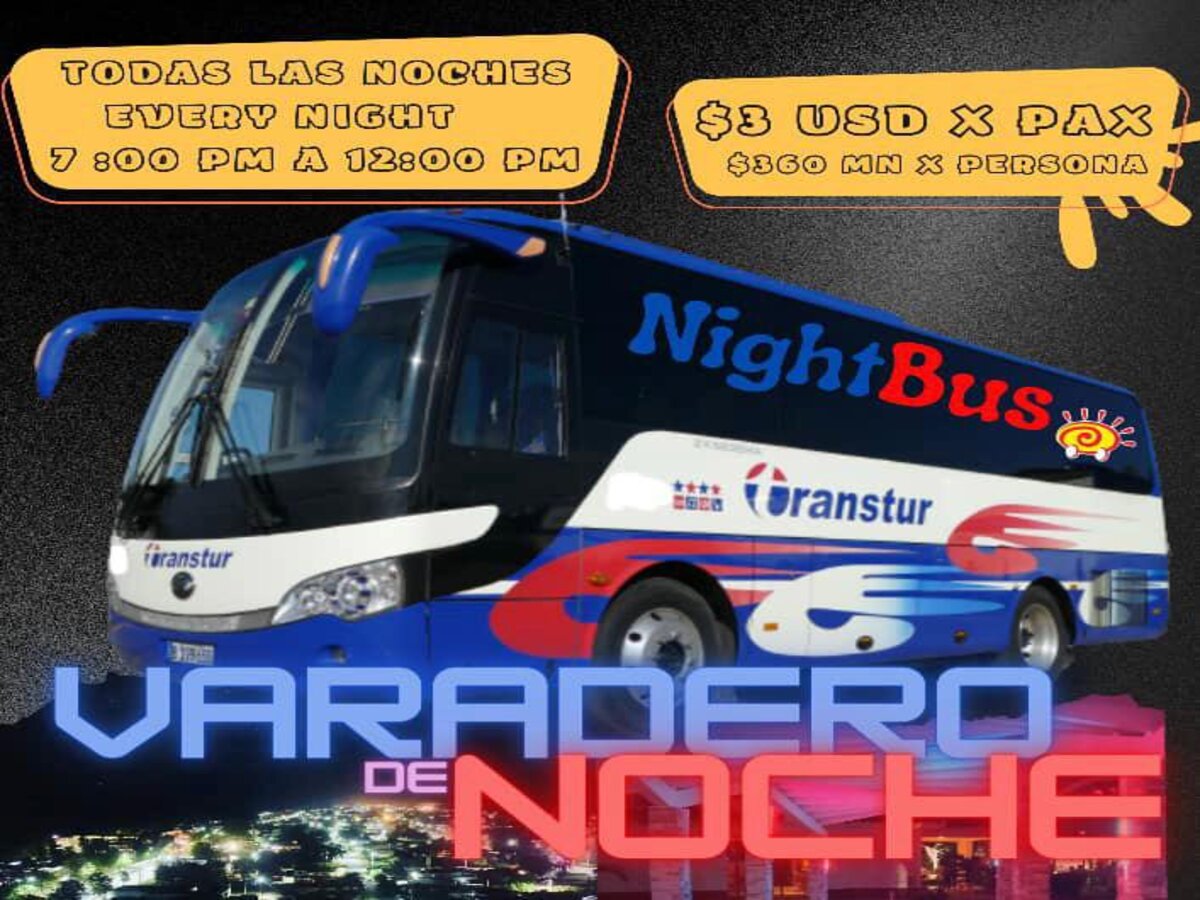 Bus nocturno/Night Bus